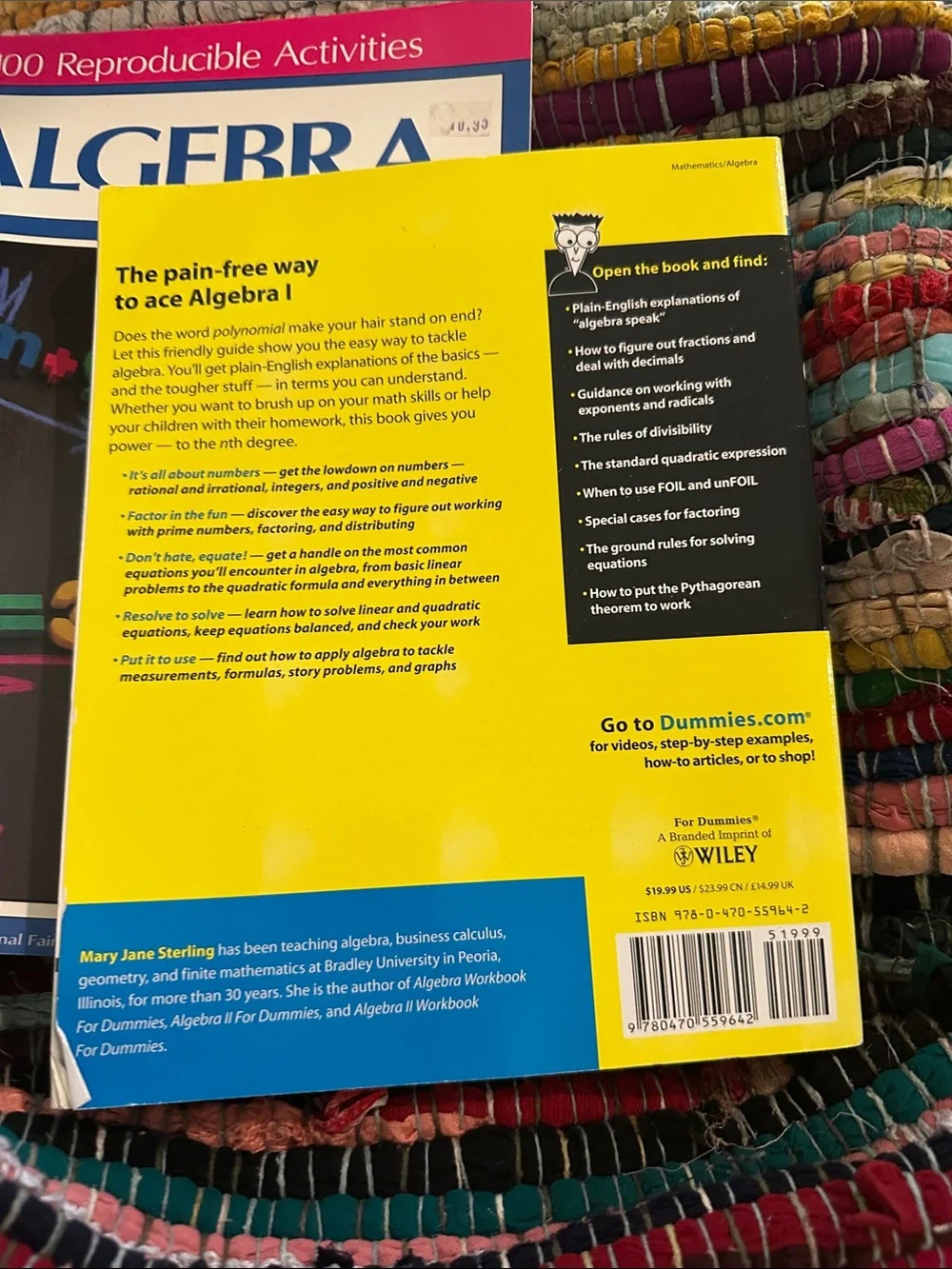 Algebra Homeschool Math Bundle For Dummies + Grades 5-8 Workbook Answer Key